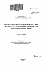 Сравнительный анализ некоторых дикорастущих видов рода Allium L. флоры Восточного Кавказа в экспериментальных условиях - тема автореферата по биологии, скачайте бесплатно автореферат диссертации