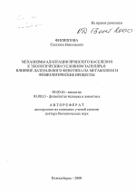 Механизмы адаптации пришлого населения к экологическим условиям Заполярья - тема автореферата по биологии, скачайте бесплатно автореферат диссертации