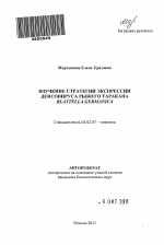 Изучение стратегии экспрессии денсовируса рыжего таракана Blattella germanica - тема автореферата по биологии, скачайте бесплатно автореферат диссертации