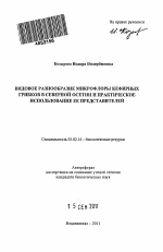 Видовое разнообразие микрофлоры кефирных грибков в Северной Осетии и практическое использование ее представителей - тема автореферата по биологии, скачайте бесплатно автореферат диссертации