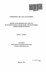 Оценка трансфекции гена VEGF121 в мультипотентные стромальные клетки человека невирусными методами - тема автореферата по биологии, скачайте бесплатно автореферат диссертации