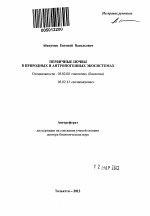 Первичные почвы в природных и антропогенных экосистемах - тема автореферата по биологии, скачайте бесплатно автореферат диссертации