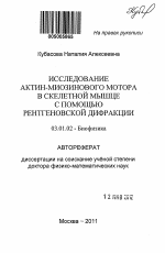 Исследование актин-миозинового мотора в скелетной мышце с помощью рентгеновской дифракции - тема автореферата по биологии, скачайте бесплатно автореферат диссертации