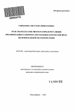 Роль Translocator protein (TSPO) в регуляции пролиферации и апоптоза опухолевых клеток при BRAF-положительной меланоме кожи - тема автореферата по биологии, скачайте бесплатно автореферат диссертации