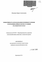 Эффективность использования плющеного ячменя в кормлении дойных коров в условиях Красноярского края - тема автореферата по сельскому хозяйству, скачайте бесплатно автореферат диссертации