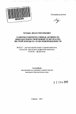 Развитие и ферментативная активность двенадцатиперстной кишки телят красно-пестрой породы на этапе новорожденности - тема автореферата по сельскому хозяйству, скачайте бесплатно автореферат диссертации