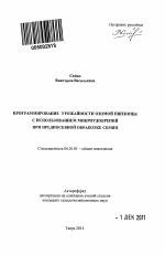 Программирование урожайности озимой пшеницы с использованием микроудобрений при предпосевной обработке семян - тема автореферата по сельскому хозяйству, скачайте бесплатно автореферат диссертации