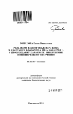 Роль генов белков теплового шока в адаптации Drosophila melanogaster L. к прооксиданту параквату, гипертермии, ионизирующему излучению - тема автореферата по биологии, скачайте бесплатно автореферат диссертации