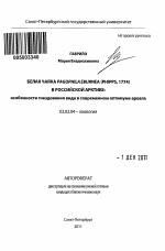 Белая чайка Pagophila eburnea (Phipps, 1774) в Российской Арктике - тема автореферата по биологии, скачайте бесплатно автореферат диссертации