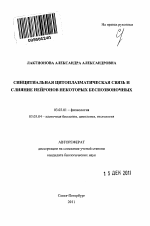 Синцитиальная цитоплазматическая связь и слияние нейронов некоторых беспозвоночных - тема автореферата по биологии, скачайте бесплатно автореферат диссертации