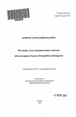 Функции мультимеризующих доменов инсуляторных белков Drosophila melanogaster - тема автореферата по биологии, скачайте бесплатно автореферат диссертации