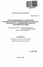 Сортоспецифичность накопления антиоксидантов различными видами амаранта (Amaranthus L.) и повышение качества товарной продукции - тема автореферата по сельскому хозяйству, скачайте бесплатно автореферат диссертации