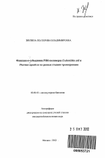 Функции σ-субъединиц РНК-полимераз Escherichia coli и Thermus aquaticus на разных стадиях транскрипции - тема автореферата по биологии, скачайте бесплатно автореферат диссертации