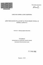 Действие белков YB-1 и РАВР на трансляцию полиа(-) и полиа(+)мРНК YB-1 - тема автореферата по биологии, скачайте бесплатно автореферат диссертации