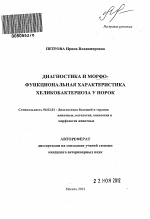 Диагностика и морфо-функциональная характеристика хеликобактериоза у норок - тема автореферата по сельскому хозяйству, скачайте бесплатно автореферат диссертации