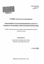 Эффективность использования метасмарта в рационах молодняка овец романовской породы - тема автореферата по сельскому хозяйству, скачайте бесплатно автореферат диссертации