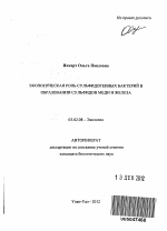 Экологическая роль сульфидогенных бактерий в образовании сульфидов меди и железа - тема автореферата по биологии, скачайте бесплатно автореферат диссертации