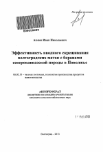 Эффективность вводного скрещивания волгоградских маток с баранами северокавказской породы в Поволжье - тема автореферата по сельскому хозяйству, скачайте бесплатно автореферат диссертации