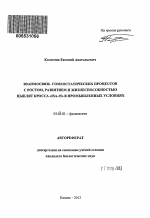 Взаимосвязь гомеостатических процессов с ростом, развитием и жизнеспособностью цыплят кросса "ISA-15" в промышленных условиях - тема автореферата по биологии, скачайте бесплатно автореферат диссертации