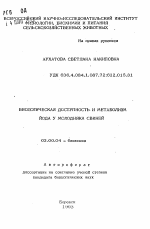 Биологическая доступность и метаболизм йода у молодняка свиней - тема автореферата по биологии, скачайте бесплатно автореферат диссертации