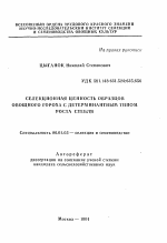 Селекционная ценность образцов овощного гороха с детерминантным типом роста стебля - тема автореферата по сельскому хозяйству, скачайте бесплатно автореферат диссертации