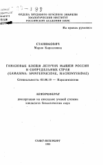 Гамазовые клещи летучих мышей России и сопредельных стран (GAMASINA: SPINTURNICIDAE, MACRONYSSIDAE) - тема автореферата по биологии, скачайте бесплатно автореферат диссертации