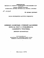 ВЛИЯНИЕ РАЗЛИЧНЫХ СТЕПЕНЕЙ ЗАСОЛЕНИЯ ПОЧВ НА РОСТ И УРОЖАЙНОСТЬ САХАРНОГО ТРОСТНИКА - тема автореферата по сельскому хозяйству, скачайте бесплатно автореферат диссертации