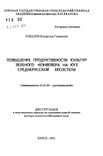 Повышение продуктивности культур зеленого конвейера на юге Среднерусской Лесостепи - тема автореферата по сельскому хозяйству, скачайте бесплатно автореферат диссертации