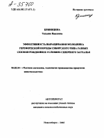 ЭФФЕКТИВНОСТЬ ВЫРАЩИВАНИЯ МОЛОДНЯКА ГЕРЕФОРДСКОЙ ПОРОДЫ СИБИРСКОГО ТИПА РАЗНЫХ СЕЗОНОВ РОЖДЕНИЯ В УСЛОВИЯХ СЕВЕРНОГО ЗАУРАЛЬЯ - тема автореферата по сельскому хозяйству, скачайте бесплатно автореферат диссертации