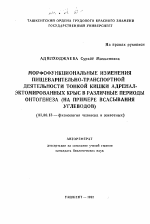 Морфофункциональные изменения пищеварительно-транспортной деятельности тонкой кишки адренал-эктомированных крыс в различные периоды онтогенеза (на примере всасывания углеводов) - тема автореферата по биологии, скачайте бесплатно автореферат диссертации