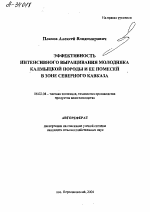 ЭФФЕКТИВНОСТЬ ИНТЕНСИВНОГО ВЫРАЩИВАНИЯ МОЛОДНЯКА КАЛМЫЦКОЙ ПОРОДЫ И ЕЕ ПОМЕСЕЙ В ЗОНЕ СЕВЕРНОГО КАВКАЗА - тема автореферата по сельскому хозяйству, скачайте бесплатно автореферат диссертации