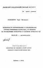 Особенности формирования и использование урожая поживных капустных, их влияние на последующие культуры в условиях Прикарпатья - тема автореферата по сельскому хозяйству, скачайте бесплатно автореферат диссертации