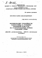 ФОРМИРОВАНИЕ УРОЖАЙНОСТИ ХЛОПЧАТНИКА В УСЛОВИЯХ ГРЕБНЕВОЙ КУЛЬТУРЫ НА СТАРООРОШАЕМЫХ ПОЧВАХ ГОЛОДНОЙ СТЕПИ - тема автореферата по сельскому хозяйству, скачайте бесплатно автореферат диссертации