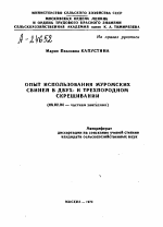 ОПЫТ ИСПОЛЬЗОВАНИЯ МУРОМСКИХ СВИНЕЙ В ДВУХ- И ТРЕХПОРОДНОМ СКРЕЩИВАНИИ - тема автореферата по сельскому хозяйству, скачайте бесплатно автореферат диссертации