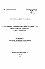 Микробиоценоз различных биотопов кишечника при интоксикации суми-альфа - тема автореферата по биологии, скачайте бесплатно автореферат диссертации