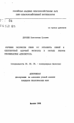 Изучение экспрессии генов VP7 ротавируса свиней и секретируемой щелочной фосфатазы в составе геномов ремомбинантных аденовирусов - тема автореферата по биологии, скачайте бесплатно автореферат диссертации