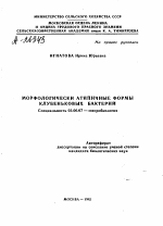 МОРФОЛОГИЧЕСКИ АТИПИЧНЫЕ ФОРМЫ КЛУБЕНЬКОВЫХ БАКТЕРИЙ - тема автореферата по биологии, скачайте бесплатно автореферат диссертации