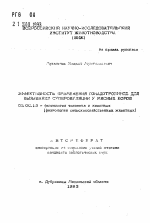 Эффективность применения гонадотропинов для вызывания суперовуляции у мясных коров - тема автореферата по биологии, скачайте бесплатно автореферат диссертации