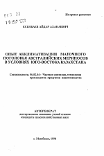 Опыт акклиматизации маточного поголовья австралийских мериносов в условиях юго-востока Казахстана - тема автореферата по сельскому хозяйству, скачайте бесплатно автореферат диссертации