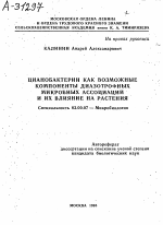 ЦИАНОБАКТЕРИИ КАК ВОЗМОЖНЫЕ КОМПОНЕНТЫ ДИАЗОТРОФНЫХ МИКРОБНЫХ АССОЦИАЦИЙ И ИХ ВЛИЯНИЕ НА РАСТЕНИЯ - тема автореферата по биологии, скачайте бесплатно автореферат диссертации