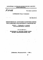 ЭФФЕКТИВНОСТЬ СОЧЕТАНИЯ РАЗЛИЧНЫХ ПОРОД ПРИ СОЗДАНИИ КРОССБРЕДНОГО ОВЦЕВОДСТВА - тема автореферата по сельскому хозяйству, скачайте бесплатно автореферат диссертации