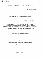 ОСОБЕННОСТИ СТРУКТУРЫ И ФУНКЦИИ ФОТОСИНТЕЗИРУЮЩЕЙ СИСТЕМЫ ПОСАДОК КАРТОФЕЛЯ, ОБЕСПЕЧИВАЮЩЕЙ МАКСИМАЛЬНОЕ ИСПОЛЬЗОВАНИЕ СОЛНЕЧНОЙ ЭНЕРГИИ - тема автореферата по биологии, скачайте бесплатно автореферат диссертации