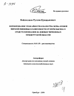 ФОРМИРОВАНИЕ УРОЖАЙНОСТИ И КАЧЕСТВА ЗЕРНА ЯРОВОЙ МЯГКОЙ ПШЕНИЦЫ В ЗАВИСИМОСТИ ОТ НОРМ ВЫСЕВА И СРЕДСТВ ХИМИЗАЦИИ НА ЮЖНЫХ ЧЕРНОЗЕМАХ ОРЕНБУРГСКОЙ ОБЛАСТИ - тема автореферата по сельскому хозяйству, скачайте бесплатно автореферат диссертации