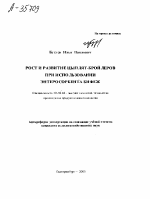 РОСТ И РАЗВИТИЕ ЦЫПЛЯТ-БРОЙЛЕРОВ ПРИ ИСПОЛЬЗОВАНИИ ЭНТЕРОСОРБЕНТА БИФЕЖ - тема автореферата по сельскому хозяйству, скачайте бесплатно автореферат диссертации