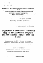 Продуктивные и биологические особенности овец сур каракалпакского породного типа оригинальных расцветок урюк-гуль и камар - тема автореферата по сельскому хозяйству, скачайте бесплатно автореферат диссертации