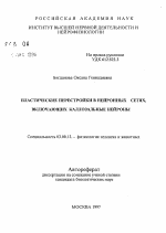 Пластические перестройки в нейронных сетях, включающих каллозальные нейроны - тема автореферата по биологии, скачайте бесплатно автореферат диссертации