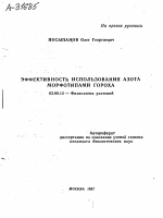ЭФФЕКТИВНОСТЬ ИСПОЛЬЗОВАНИЯ АЗОТА МОРФОТИПАМИ ГОРОХА - тема автореферата по биологии, скачайте бесплатно автореферат диссертации