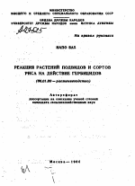 РЕАКЦИЯ РАСТЕНИЙ ПОДВИДОВ И СОРТОВ РИСА НА ДЕЙСТВИЕ ГЕРБИЦИДОВ - тема автореферата по сельскому хозяйству, скачайте бесплатно автореферат диссертации