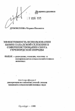 Эффективность использования быков канадской селекции в совершенствовании скота герефордской породы - тема автореферата по сельскому хозяйству, скачайте бесплатно автореферат диссертации