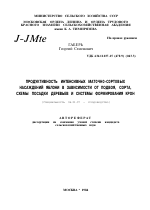 ПРОДУКТИВНОСТЬ ИНТЕНСИВНЫХ МАТ0ЧН0-С0РТ0ВЫХ НАСАЖДЕНИЙ ЯБЛОНИ В ЗАВИСИМОСТИ ОТ ПОДВОЯ, СОРТА, СХЕМЫ ПОСАДКИ ДЕРЕВЬЕВ И СИСТЕМЫ ФОРМИРОВАНИЯ КРОН - тема автореферата по сельскому хозяйству, скачайте бесплатно автореферат диссертации